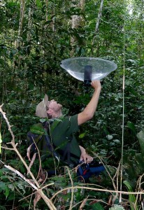 Recording a Gould's Toucanet, Cristalino Lodge, Brazil, September 2009. Click to hear the recording.