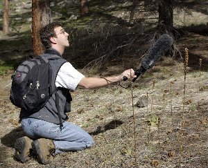 Recording a Brown Creeper. If you click on the photo, you can hear the recording I was making when the photo was taken. In fact, you can hear the photo being taken. It's all very recursive and post-modern.