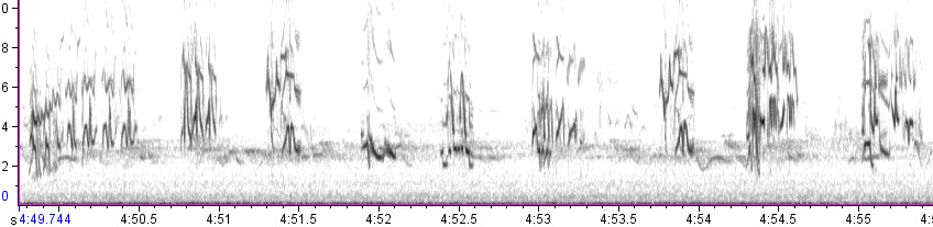 Subsong vs. Whisper Song « Earbirding.