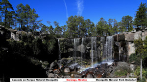 The waterfall (cascada) in Parque Natural Mexiquillo, Durango, Mexico. Photo by Roberto González (CC-BY-2.0). 